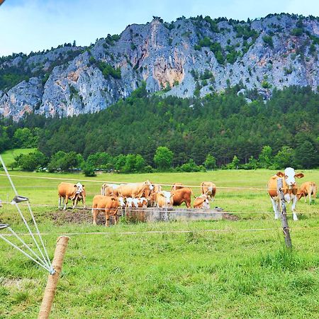 Отель Glamping Hohe Wand - Zelt Mit Sternenfenster Und Whirlpool Maiersdorf Экстерьер фото