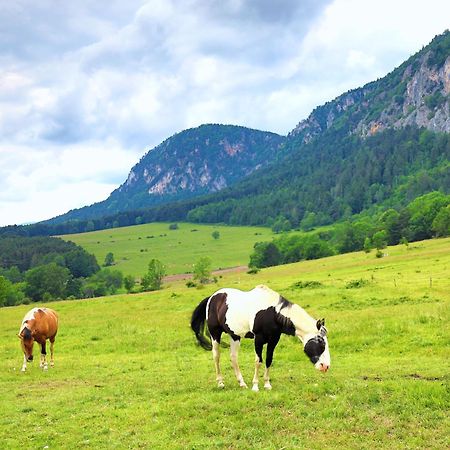 Отель Glamping Hohe Wand - Zelt Mit Sternenfenster Und Whirlpool Maiersdorf Экстерьер фото